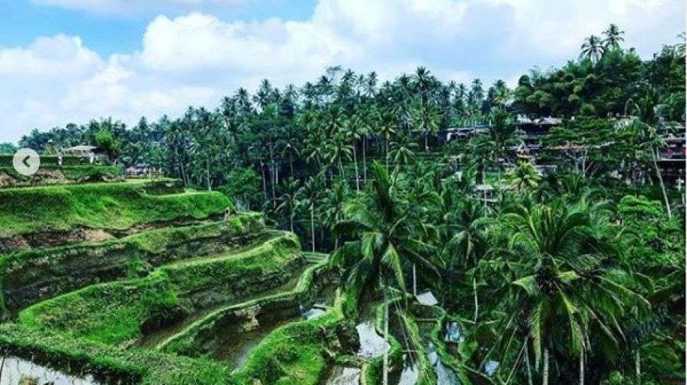 Keajaiban Pariwisata Di Bali Surganya Wisatawan Seluruh Dunia Versus