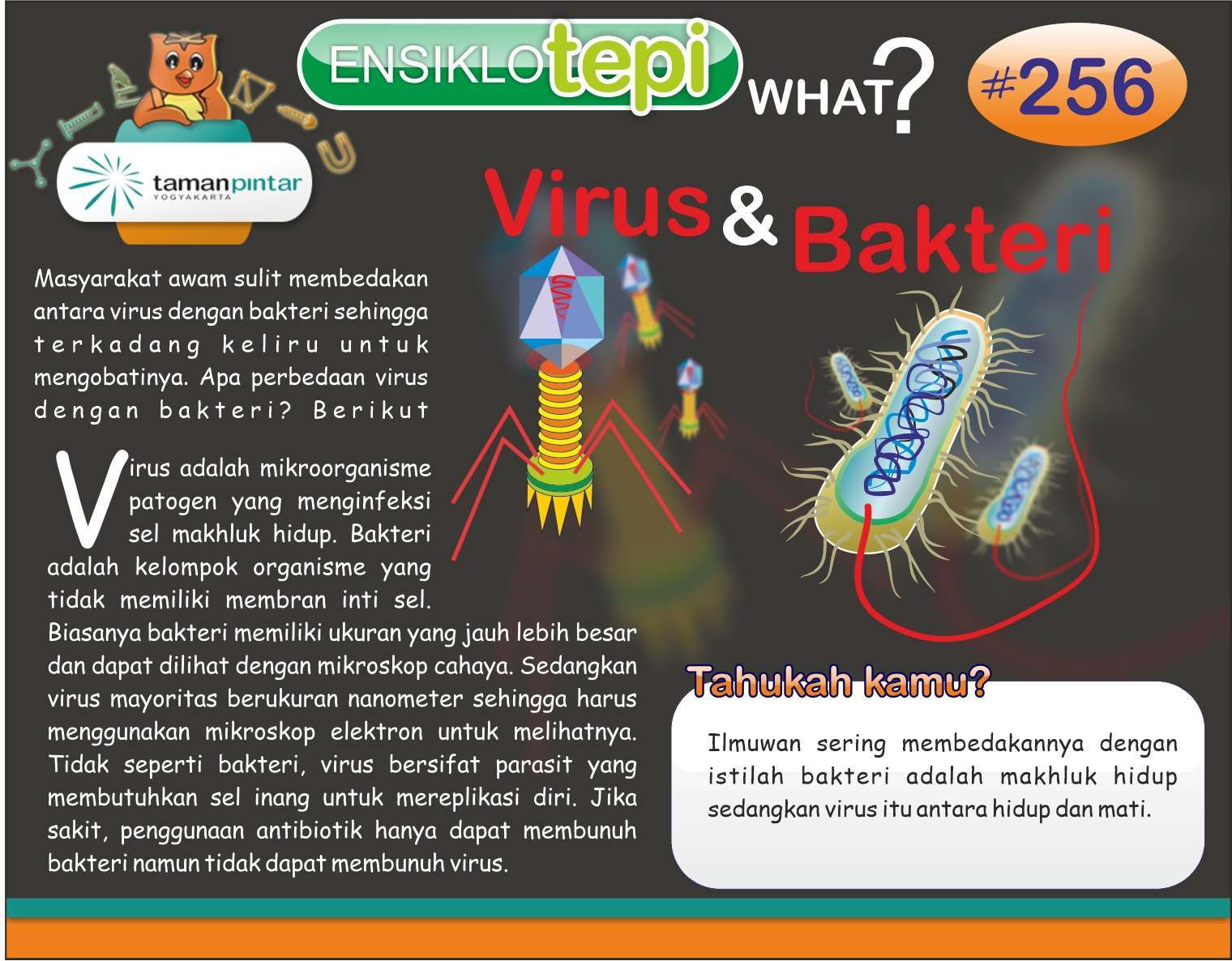 Perbedaan Virus Dan Bakteri Versus Beda