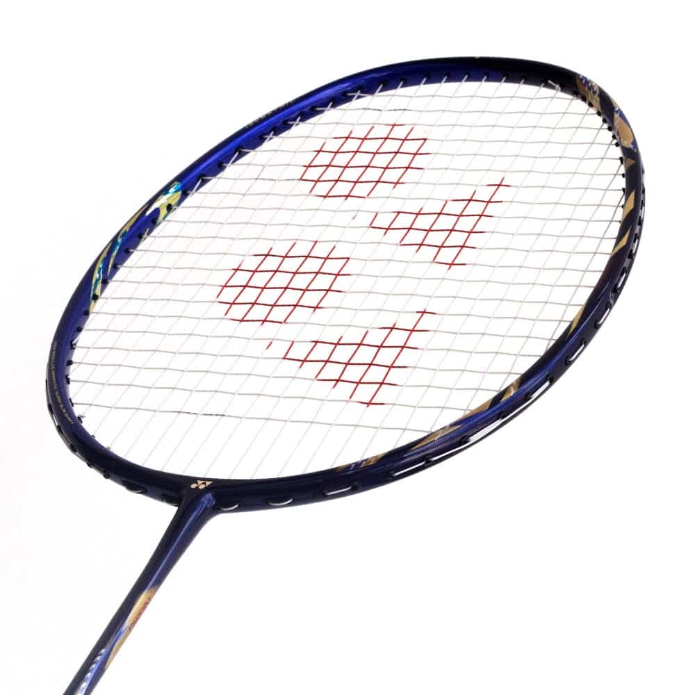 Memulai Petualangan Tenis Anda: Panduan Memilih Raket Tenis Terbaik untuk Pemula